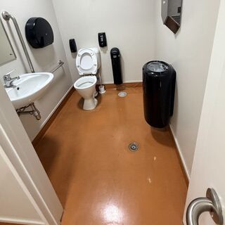 Disabled Bathroom - Before