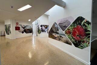Murals - After