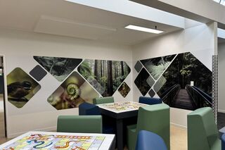 Murals - After