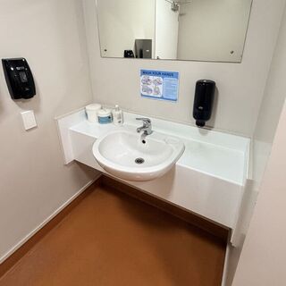 Vanity - Before